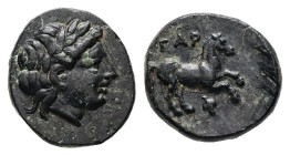 Troas, Gargara. Ae, 0,71 g. - 10.23 mm. Circa late 3rd-early 2nd centuries BC.
Obv.: Laureate head of Apollo right.
Rev.: ΓAP, Horse prancing right; b...