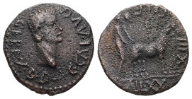 Paphlagonia, Sinope. Caligula, AD 37–38. AE. 3.16 g. 16.69 mm.
Obv: C CAE AVG GER EX D D. Bare head of Caligula, right.
Rev: C I F AN LXXXIII. Two col...