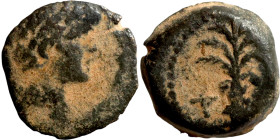 SELEUKID KINGS of SYRIA Uncertain ruler (3-2 centur BC). AE Bronze. 
12mm 1.76g

Artificial sand patina