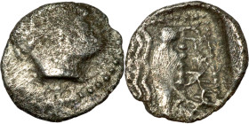 Silver coin (4-1 century BC)
9mm 0,55g0