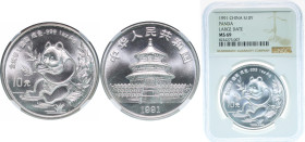 China People's Republic of China 1991 10 Yuan (Panda) Silver (.999) (100000) 31.1g NGC MS 69 KM 386 Y 308