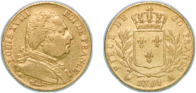 France Kingdom 1814 A 20 Francs - Louis XVIII (dressed bust) Gold (.900) Paris Mint 6.36g XF F 517 KM 706.1