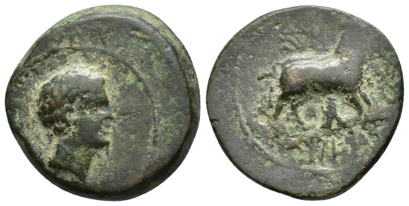 HISPANIA ANTIGUA. VESCI. Unidad. A/ Cabeza masculina a der., detrás espiga poco ...