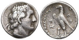 GRECIA ANTIGUA. IMPERIO PTOLEMAICO. PTOLOMEO II. Ptolemais. Fenicia. Tetradracma (285-246 a.C.). A/ Cabeza laureada a der. R/ Águila a izq., delante 2...