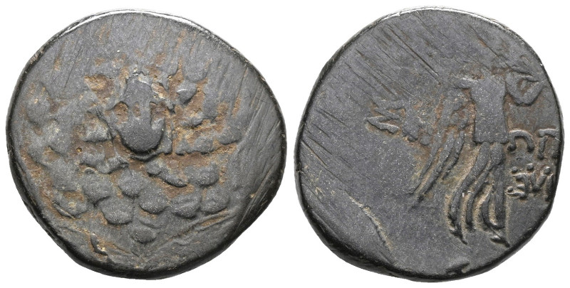 PAPHLAGONIA SINOPE
AEs 120-63 B.C. BC Vs.: Aegis with Gorgoneion v. v., Rev.: N...