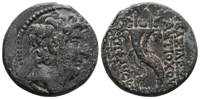 Greek
SELEUKID KINGS of SYRIA, Antiochos VIII Grypos (Circa 121-98/6 BC)
AE Br...
