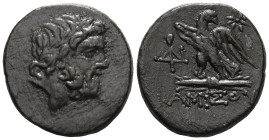 Greek
Pontos, Amisos, AE, (Bronze), Circa 100-85 BC
Obv: Laureate head of Zeus right.
Rev: AMIΣOV, Eagle, with head right, standing left on thunder...