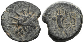 GreekSELEUKID KINGS of SYRIA. Antiochos VIII Epiphanes (Grypos), 121/0-97/6 BC. Ae , Antioch on the Orontes. Radiate and diademed head of Antiochos VI...