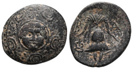 KINGDOM OF MACEDONIA - INTERREGNE (288-277 BC) Half unit, (PB, ئ 17) N° v24_0067   Date: c. 288-277 AC.Name of the workshop: Cyprus, Salamis?Metal: br...