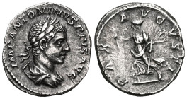 Elagabalus AD 218-222. RomeDenar ARIMP ANTONINVS PIVS AVG, bust laureate, draped right / PAX AVGVSTI, Pax advancing left holding branch and scepter.ne...