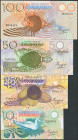 Set of 4 banknotes of Seychelles of 10 Rupees, 25 Rupees, 50 Rupees and 100 Rupees. (1983ca). (Pick: 28, 29, 30, 31). Uncirculated.