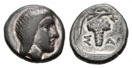 Reino de Tracia. Saratokos. Dióbolo. 444-424 a.C. (Topalov-69). (Peykov-B0360). Anv.: Cabeza femenina a derecha. Rev.: Racimo de uvas, a los lados let...