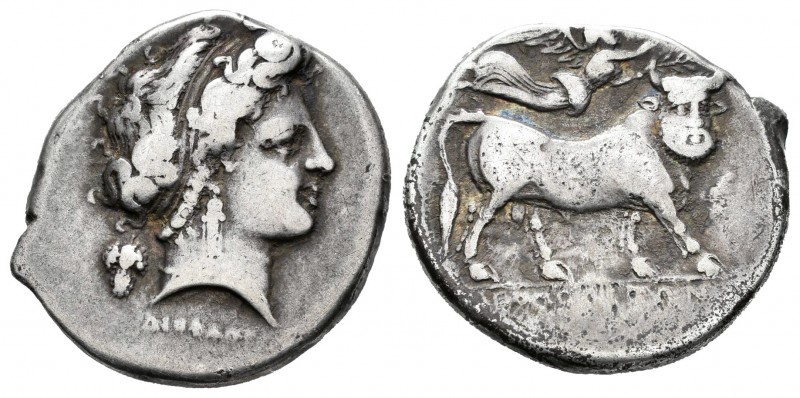 Campania. Neapolis. Didracma. 275-250 a.C. (SNG-96). (HN Italia-596). Rev.: Toro...