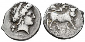 Campania. Neapolis. Didracma. 275-250 a.C. (SNG-96). (HN Italia-596). Rev.: Toro androcéfalo a derecha coronado por Victoria, debajo leyenda no visibl...