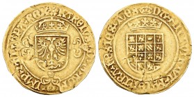 Carlos I (1516-1556). 1/2 real de oro. Amberes. (Vti-606). (Vanhoudt-221.AN). Au. 3,46 g. Pequeña grieta. MBC+. Est...500,00.