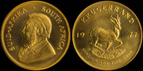 SOUTH AFRICA: 1 Krugerrand (1977) in gold (0,917). Bust of Paul Kruger facing left on obverse. Springbok walking right divides date on reverse. Inside...