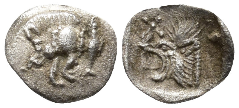 MYSIA.Kyzikos. Tetartemorion (AR, 8 mm, 0.16 g), c. 450–400 BC.

 Forepart of ...