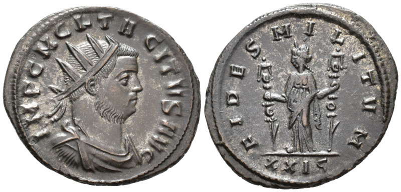Tacitus (AD 275–276). Antoninianus (AE, 23 mm, 3.47 g), Rome mint, 276.

 IMP ...