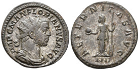 Florian (AD 276). Antoninianus (AE, 22 mm, 4.05 g), Lugdunum mint, 276.

 IMP C M AN FLORIANVS AVG Radiate, draped and cuirassed bust of Aurelian ri...