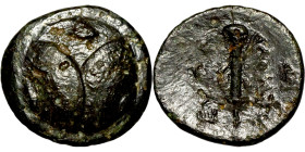 Bronze coin, Asia Minor (3-1 BC) Obverse: Shield. Reverse: Club

18mm 3,62g