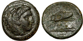 Bronze coin, Asia Minor (3-1 BC) Obverse: Head of Heracles Reverse: Club

18mm 5,27g