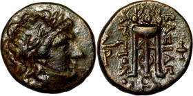 Antioch IX (Seleukid kings) bronze. Obverse: Head of King. Reverse: Isis

15mm 3,88g