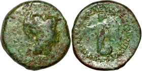 Bronze coin Asia Minor (3-1 BC) Obverse: Head of Athena. Reverse: Lyre

22mm 8,82g