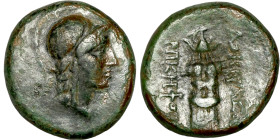 Bronze coin, Asia Minor (3-1 BC) Obverse: Head of Apollo. Reverse: Lyre

18mm 7,18g