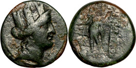 Phrygia: Apamea (133-48 BC) Bronze coin. Obverse: Head of Tyche. Reverse: Marsyas walking right on Maeander pattern, playing double flute

19mm 4,64...