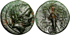 Asia Minor (3-1 BC) Bronze coin Obverse: Laureate bust Reverse: Standing Athena, holding spear and shield

17mm 3,50g