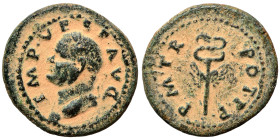 Vespasian, 69-79. Quadrans (bronze, 3.19 g, 18 mm), Rome mint, for Syria. IMP VESP AVG Laureate head of Vespasian to left. Rev. P M TR POT PP Winged c...