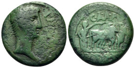 ACHAEA. Patrae. Augustus, 27 BC - AD 14. As (Bronze, 19 mm, 6.44 g, 5 h). PATER Bare head of Augustus to right. Rev. C A A P, PATRIAE Man ploughing wi...