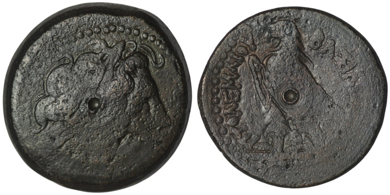 PTOLEMAIC KINGS OF EGYPT. Ptolemy II Philadelphos (285-246 BC). Alexandreia.
AE ...