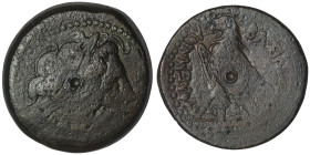 PTOLEMAIC KINGS OF EGYPT. Ptolemy II Philadelphos (285-246 BC). Alexandreia.
AE Diobol (30mm, 23,80g)