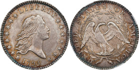 1795 Flowing Hair Half Dollar. O-104, T-24. Rarity-4-. Two Leaves. Unc Details--Damaged (NGC).Condition Census for the die pairing based on the detail...