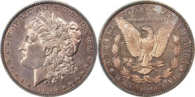 1895 Morgan Silver Dollar. Proof-63 (PCGS).Our multiple offerings for the issue in this sale notwithstanding, the key date Proof-only 1895 silver doll...