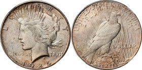 1925-S Peace Silver Dollar. MS-65 (NGC).We note above average striking detail for this challenging issue, the centers with emerging definition that gi...