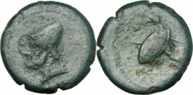 North-eastern Italy, Ariminum. AE Struck Obol or Quartuncia, 268-225 BC. HN Italy 8. Garr. LXXXII, 26. SNG ANS 101. Campana 7. 6.44 g.  19.5 mm.