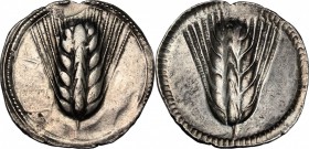 Southern Lucania, Metapontum. AR Stater, c. 540-510 BC. HN Italy 1463. Noe 45. 8.18 g.  30 mm.