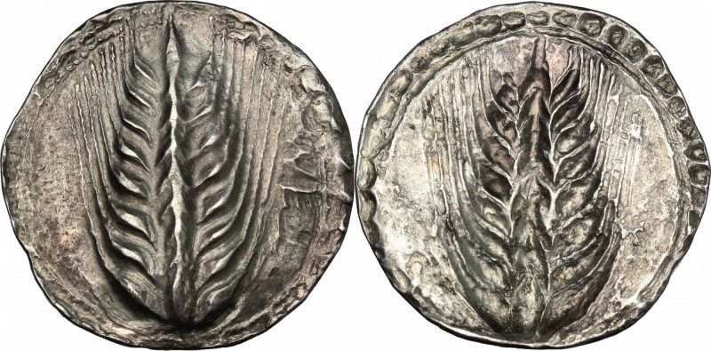 Greek Italy. Southern Lucania, Metapontum. AR Stater, c. 540-510 BC. D/ [A?]TEM ...