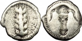 Southern Lucania, Metapontum. AR Triobol, c. 470-440 BC. HN Italy 1487. Noe 277 (Diobol). 1.32 g.  13 mm.