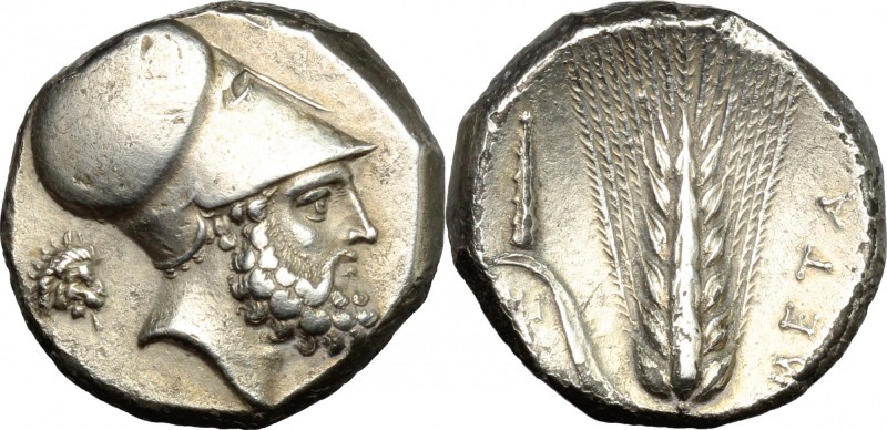 Greek Italy. Southern Lucania, Metapontum. AR Stater, c. 340-330 BC. D/ Bearded ...