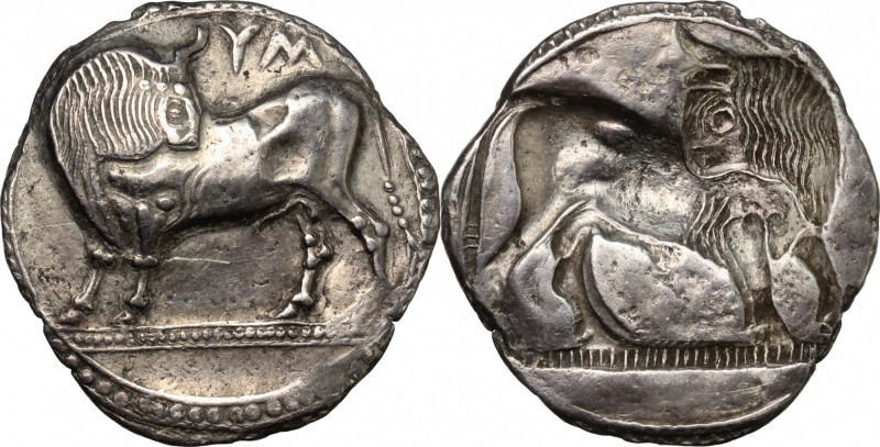 Greek Italy. Southern Lucania, Sybaris. AR Stater, c. 550-510 BC. D/ Bull standi...