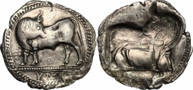Southern Lucania, Sybaris. AR Stater, c. 550-510 BC. HN Italy 1729. Basel 169. SNG ANS 828-44. 7.58 g.  30 mm.