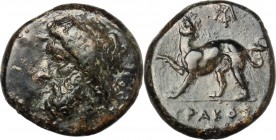 Syracuse.  Timoleon and the Third Democracy (344-317 BC).. AE Tetras, circa  336-317 BC. CNS 84 (obv. misdescribed as Zeus, rev. misdescribed as panth...