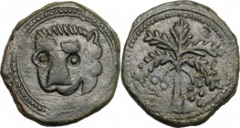 Messina.  Guglielmo II (1166-1189). Follaro con testa di leone e palma. Sp. 117 (trifollaro). Travaini 370. D'Andrea-Contreras 372. 9.88 g.  24.5 mm.