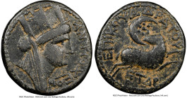 SYRIA. Antioch. Nero (AD 54-68). AE (19mm, 12h). NGC VF. Dated Civic Year 104 (AD 55/6), Gaius Ummidius Durmius Quadratus, magistrate. ANTIOXEΩN, veil...