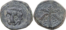 Messina. Guglielmo II (1166-1189). Follaro post 1180. D/ Testa di leone. R/ Palmizio con datteri. Sp. 117; Travaini 1995 370; D'Andrea-Contreras (Norm...