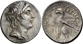 Tetradrachm, Sidon 137-136 (year 176), AR 31 mm, 14.24 g. Diademed and draped bust of Antiochus VII r. Dotted border. Rev. BAΣIΛEΩΣ – ANTIOXOY Eagle, ...