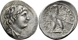 Tetradrachm, Ake-Ptolemaïs 136-135 (year 177), AR 32 mm, 14.05 g. Diademed and draped bust of Antiochus VII r. Dotted border. Rev. BAΣIΛEΩΣ – ANTIOXOY...